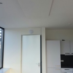 2x Infrarood paneel 850 watt, Ecosun, Type U+, Wit, 2024